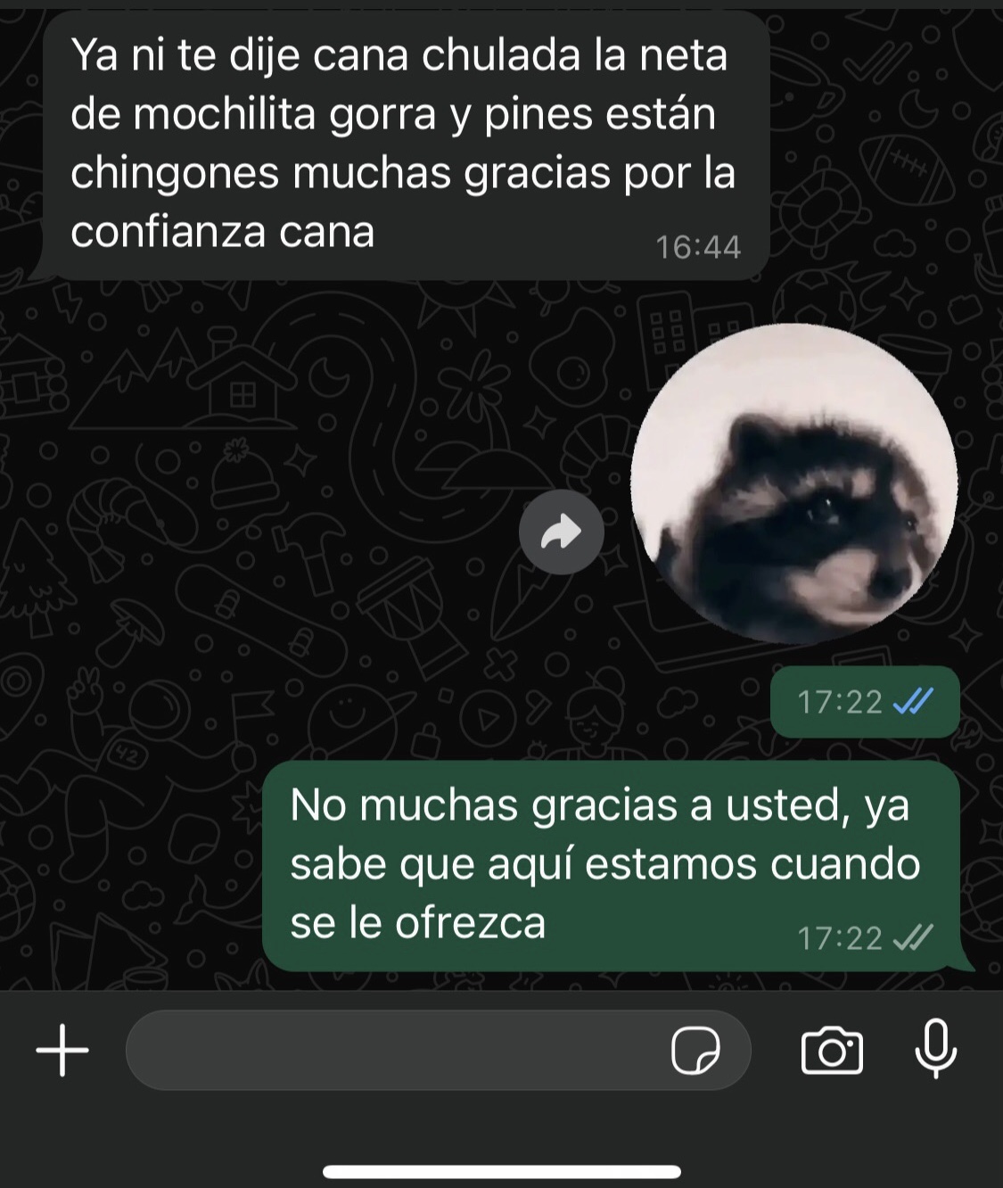 Imagen 4